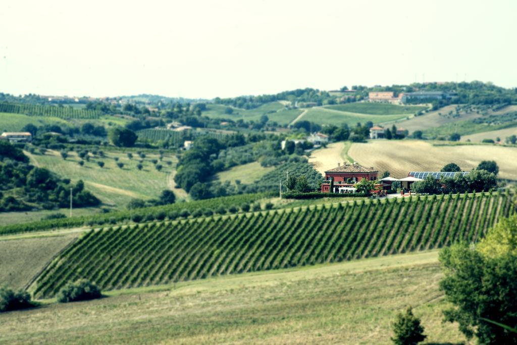 Villa Tenuta Santini Coriano Exterior foto